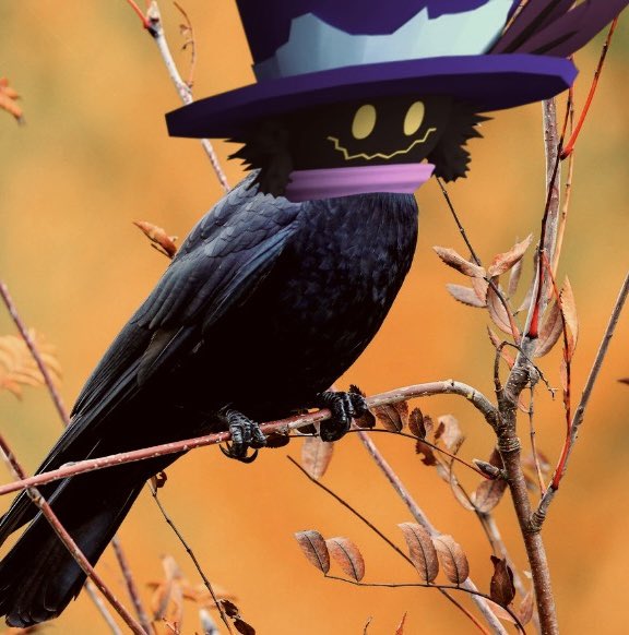 Braley_78's tweet photo. irl hayes hat halloween decoration whaaaaat😨😨😨😨😨😨😨
#towerheroes https://t.co/SPlOTDJDNt
