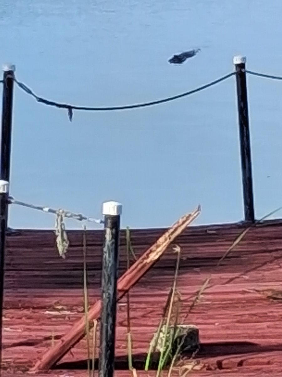 SaulGoodman727's tweet photo. Love the new neighbor 😍 https://t.co/kBSybmCjdj