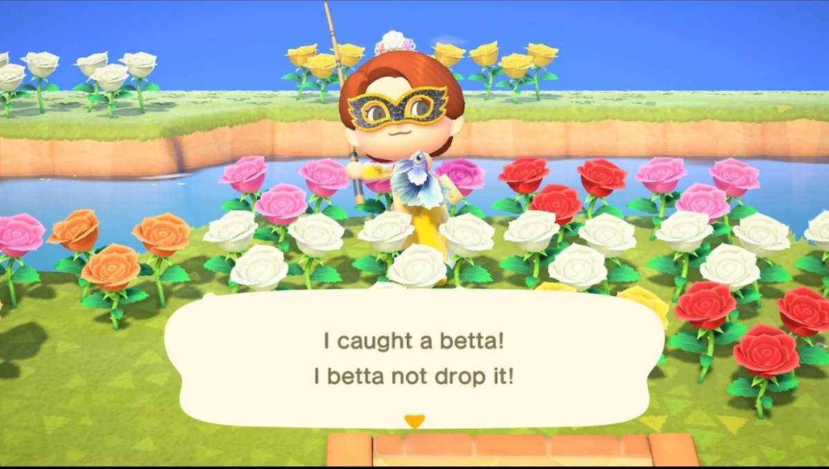 jendewph's tweet photo. #ANCH #nintendoswitch #DaiDream #OOTD where Bianca felt this was cute enough for her pad, invited me over for #GirlsParty and then #FLO trying to Block the exit as I do #NMT #DodoBird😭😭#BettaFish #DreamyRibbonPoachette #MermaidTiara https://t.co/yQcxQYYowQ