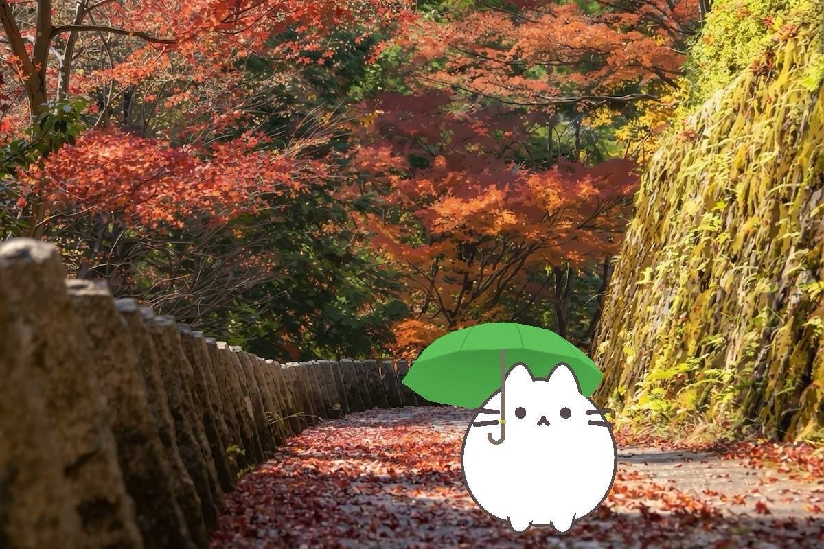 alfred_arthur's tweet photo. 吉野山に行ってきたよ！
#ねこ旅
https://t.co/sAhIfPgWzV https://t.co/apf15LTrSK