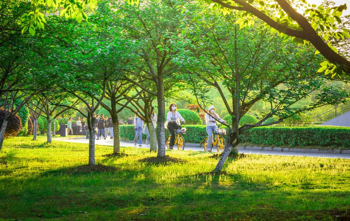 JunieBorchadih's tweet photo. Sunshine and 25°C vibes! Time to grab a cold drink and take a walk in the park, this perfect spring weather can’t be missed! https://t.co/XNGWvlR3tK