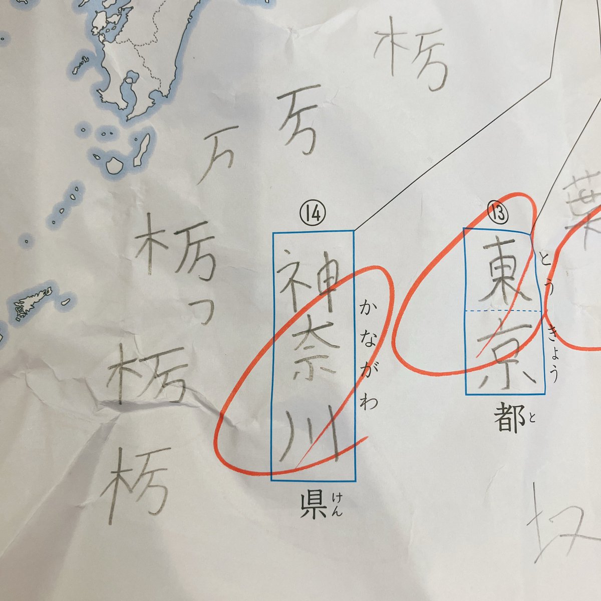 pichu_OvO_'s tweet photo. 10歳。なんか違うな？と思って、なんとか正解に辿り着いたらしい😂👏 https://t.co/WX1kd0Iadb