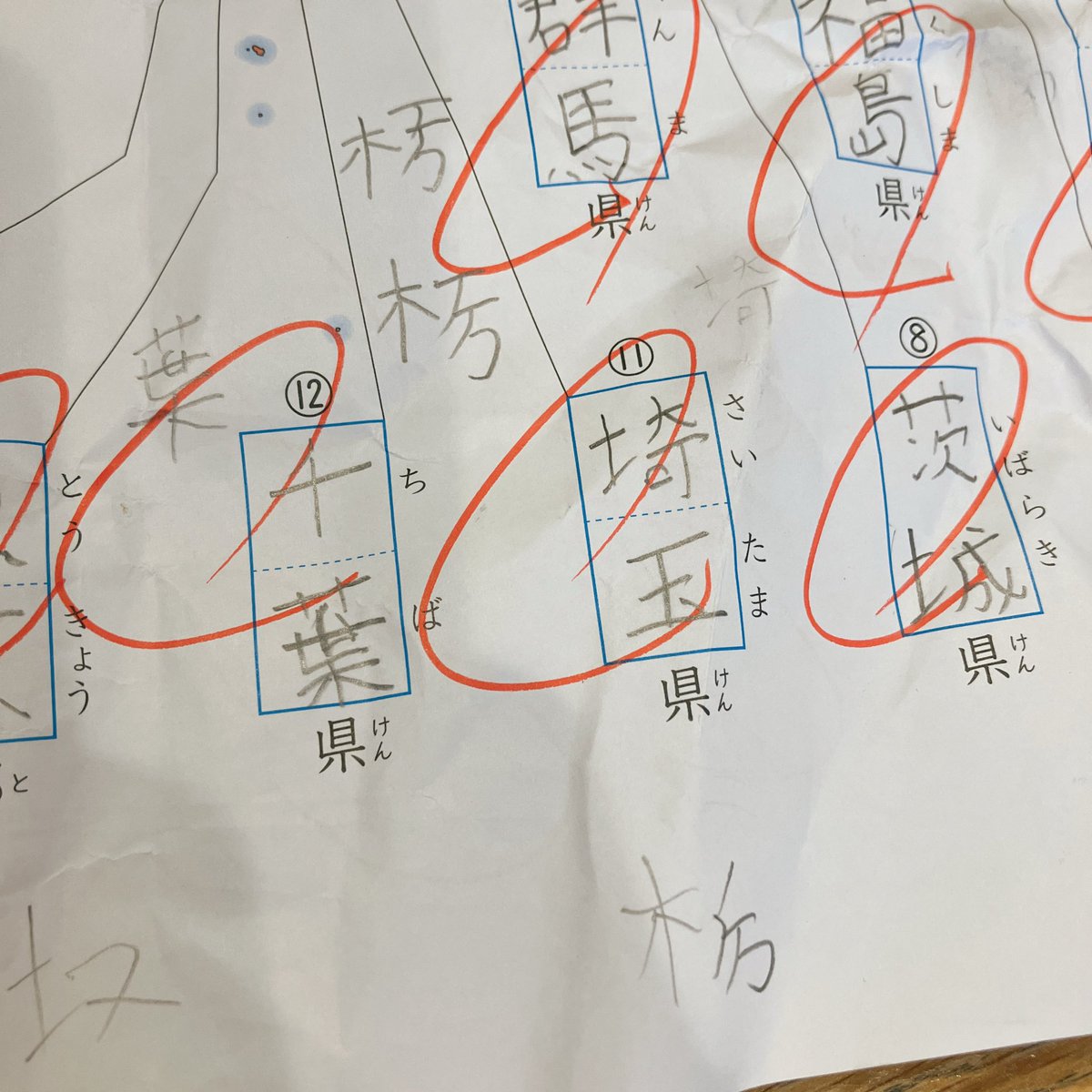 pichu_OvO_'s tweet photo. 10歳。なんか違うな？と思って、なんとか正解に辿り着いたらしい😂👏 https://t.co/WX1kd0Iadb