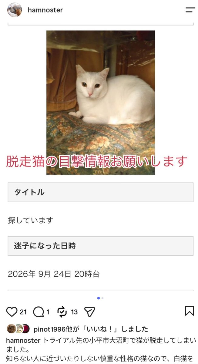 nyankoma2018's tweet photo. トライアル中の脱走です。

小平市大沼町近隣の皆さま、真っ白な外猫ちゃんみたらご連絡ください。
土地も人も何も分からない場所でとても不安だと思います。
早く見つけてあげたい。
Instagramより転載してます。
ご連絡はInstagramアカウント主さんへお願いいたします。

https://t.co/ZE33z7iCUn https://t.co/qcGRBRQY3g