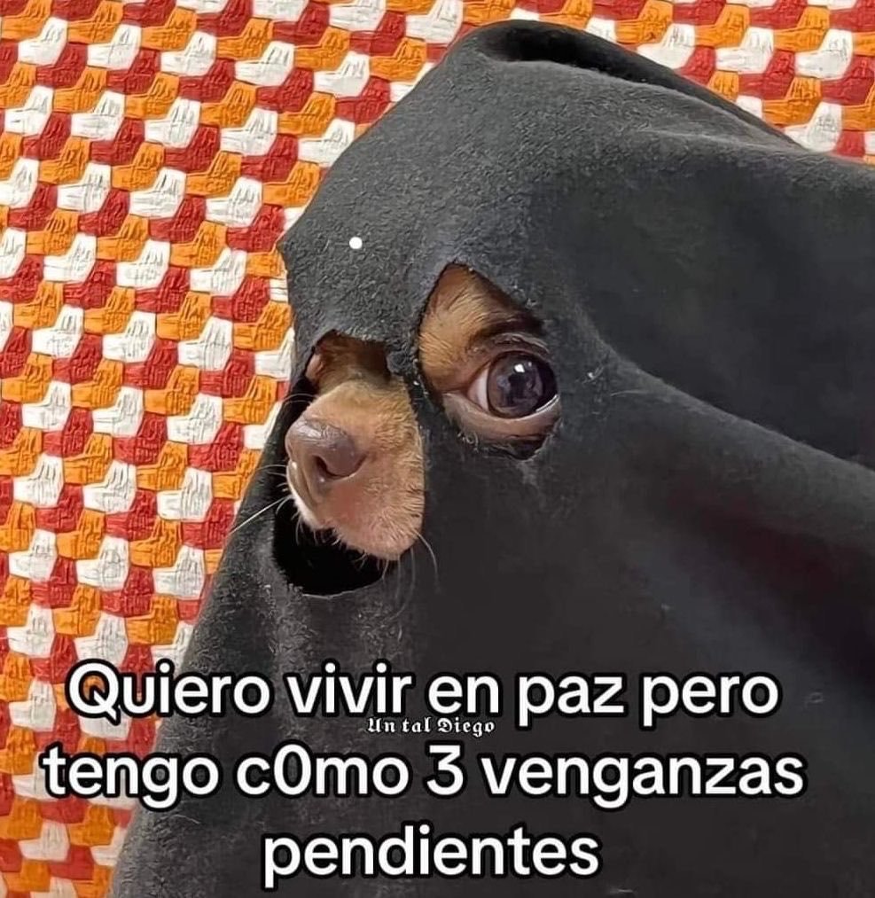 AlejandraN56289's tweet photo. https://t.co/P7q3xksfkf