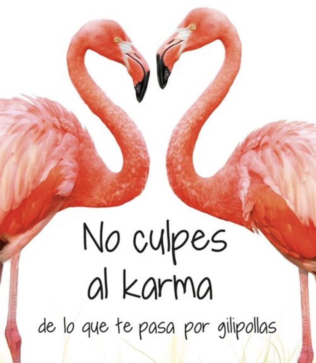 SaraEle6's tweet photo. Rubén #LaIslaDeLasTentaciones7 https://t.co/2Jxc7Sc5Jq