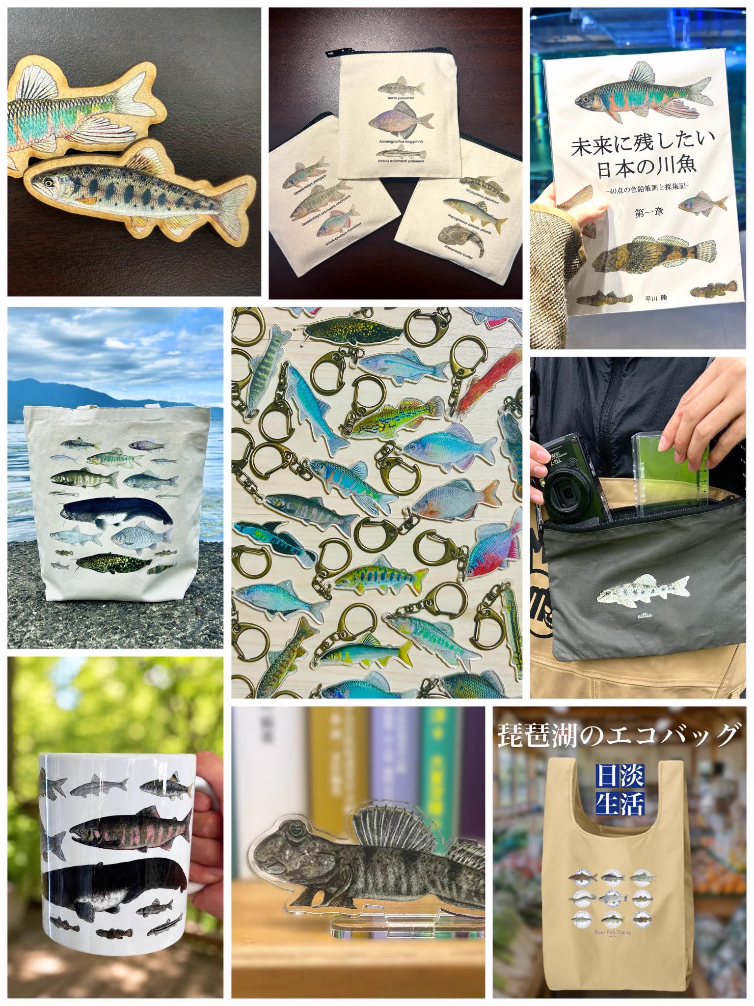 平山 陸（sakanazuki） on X: 