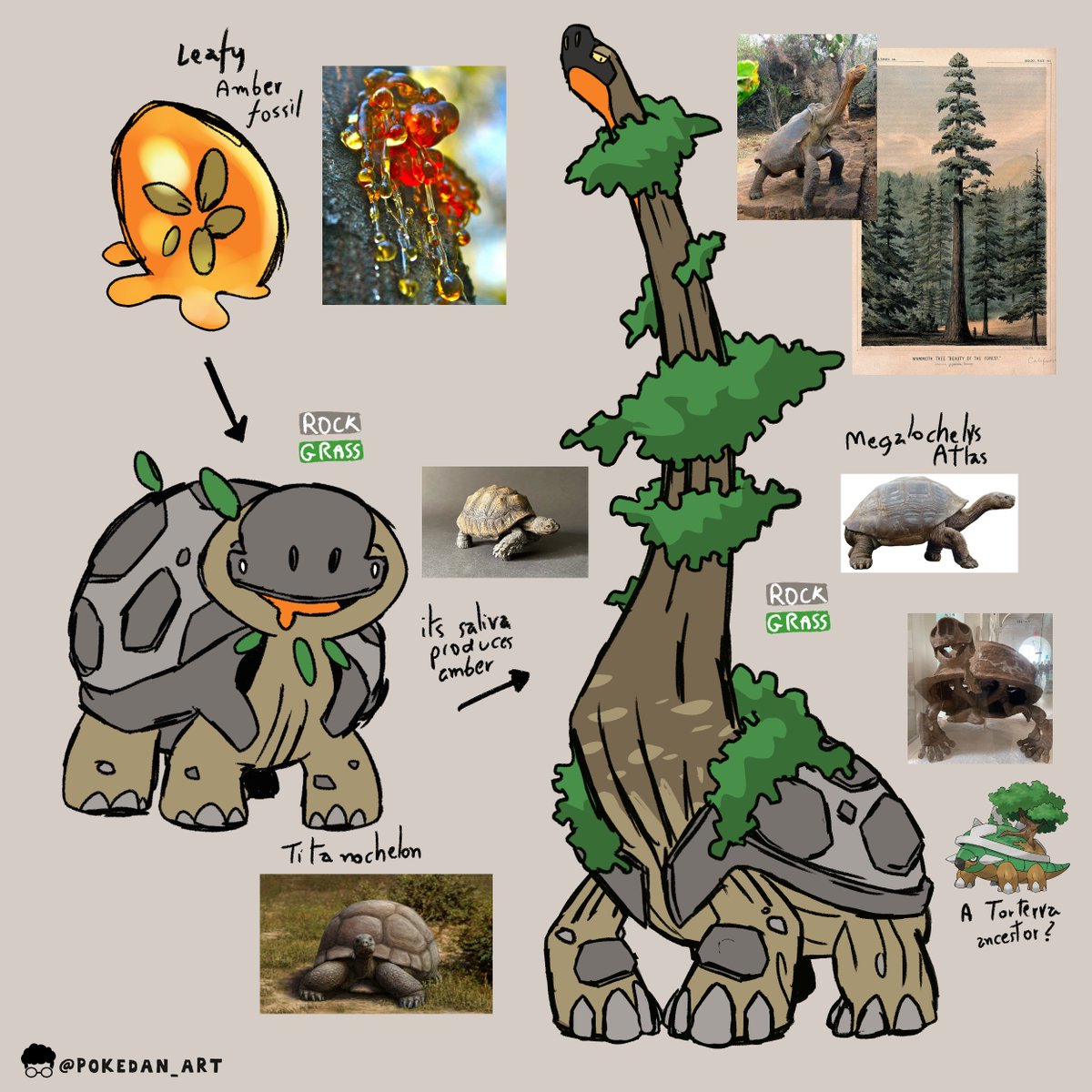 PokeDan_Art's tweet photo. Colossal Tree Turtle! 🌲🦕🐢 #WIP 
This prehistoric fossil was one of the tallest Pokémon to walk the planet! Some scientists also believe they are ancestors of Torterra! Inspired by Titanochelon and Megalochelys Atlas tortoises!

✨ Reserved! 

#Fakemon #Pokemon #Art https://t.co/itMSMN6cug