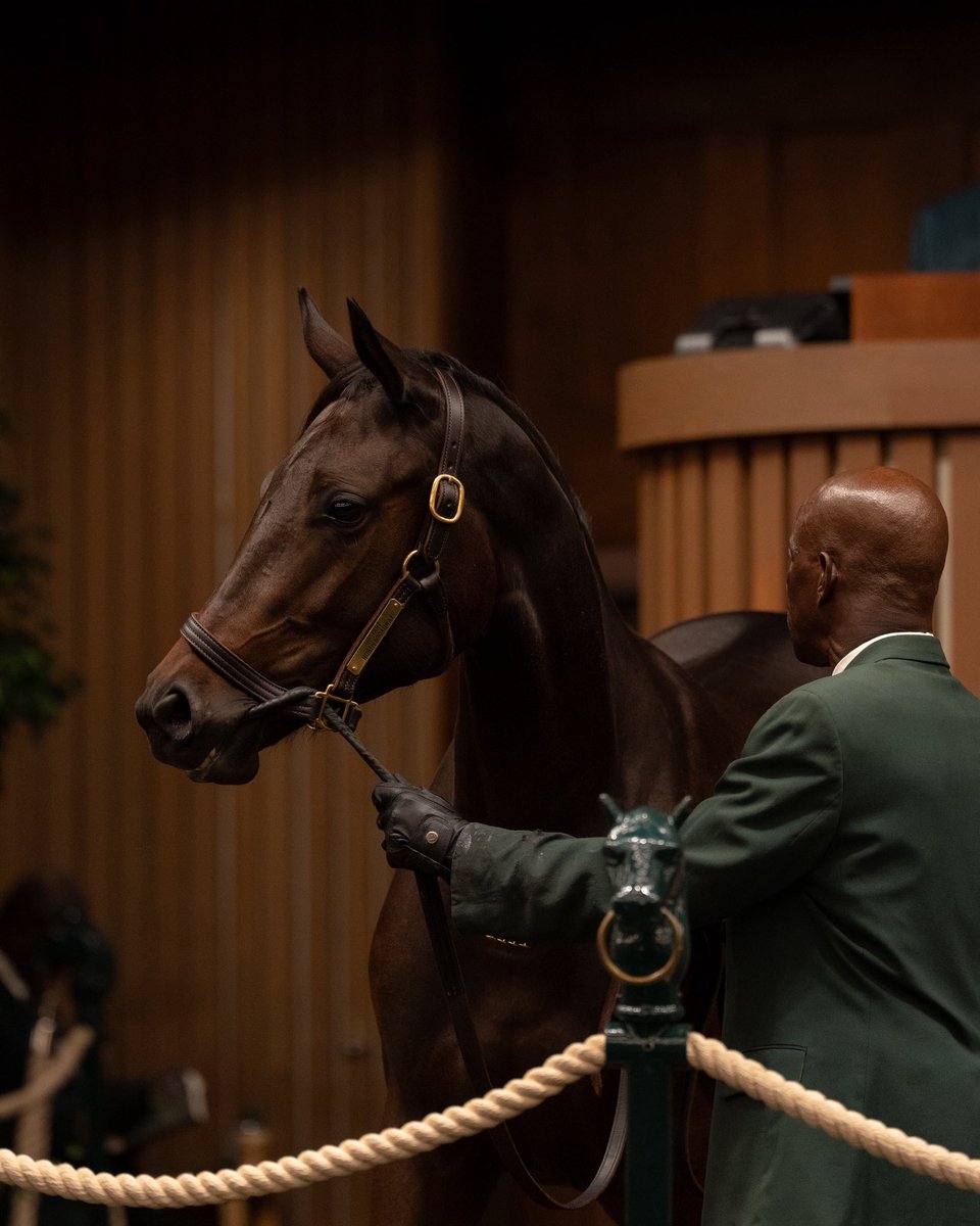 CBAKy's tweet photo. As we look back on the past two weeks, we want to congratulate everyone involved in the Keeneland September Sale, especially the consignors, breeders and teams who put in the work long before these yearlings ever stepped into the ring! https://t.co/ZwE378aG2X