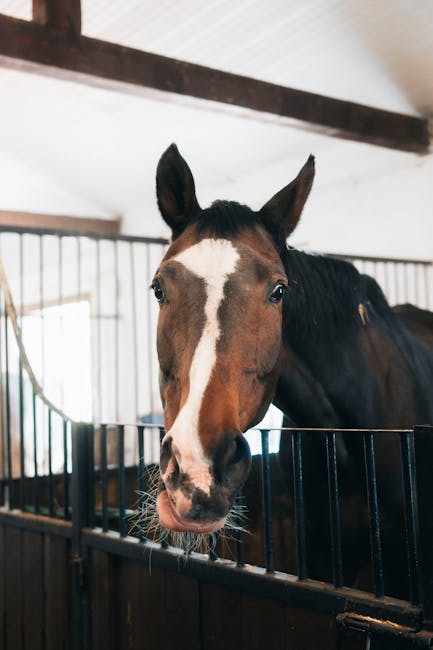 EdwardGrayphg's tweet photo. الحظ الترويج تأثيره رؤيتك عميقة للغاية ومقدمة بوضوح. لقد استعدت بشكل جيد. الآن دع في لها المعجزة. carolina dorminey https://t.co/aGiuoU3PXg