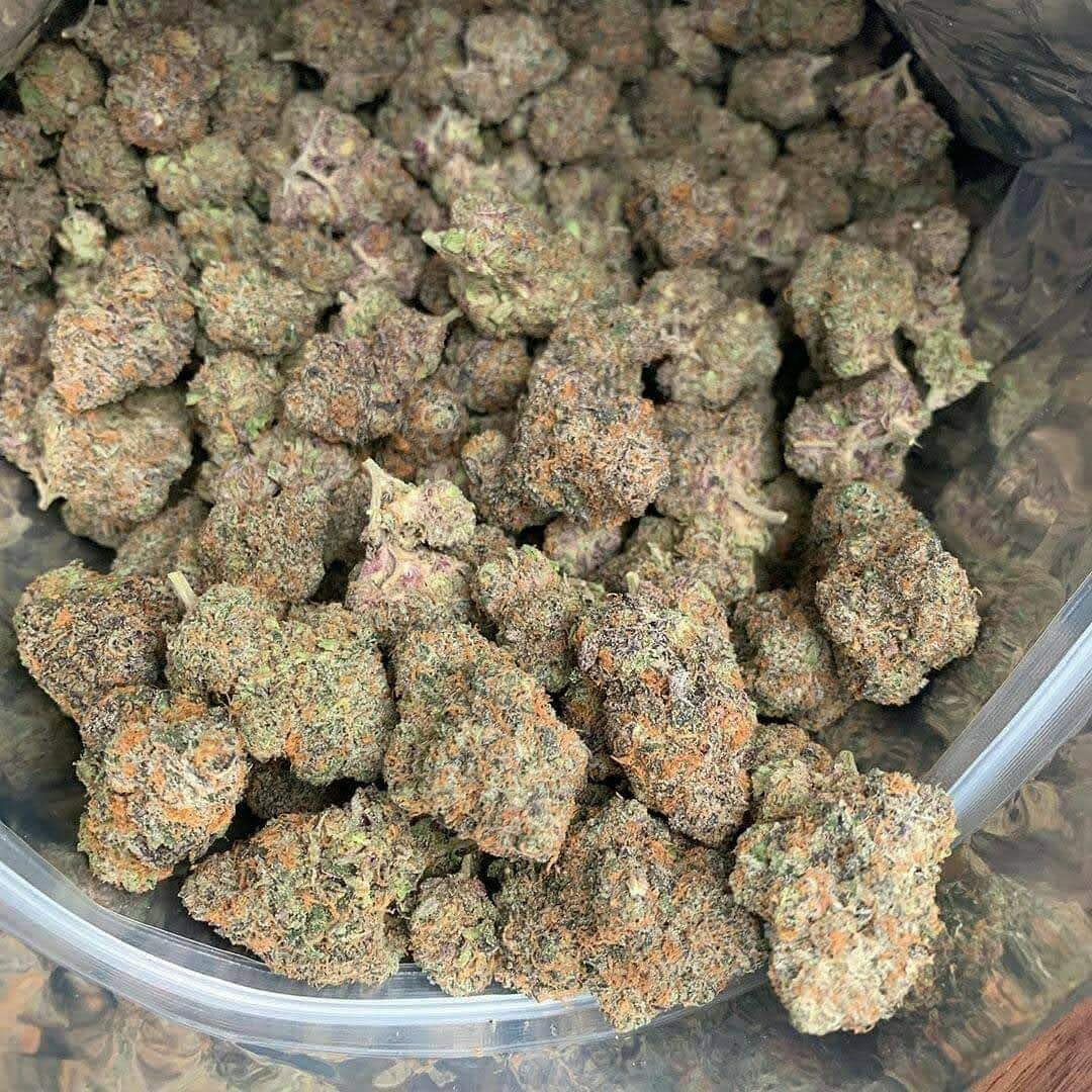 Maui_exotics's tweet photo. How long would this last at your house? Be honest.

#Cannabis #Nugs #StashPic #BudPorn #Trichomes https://t.co/EUeWE5FvBd
