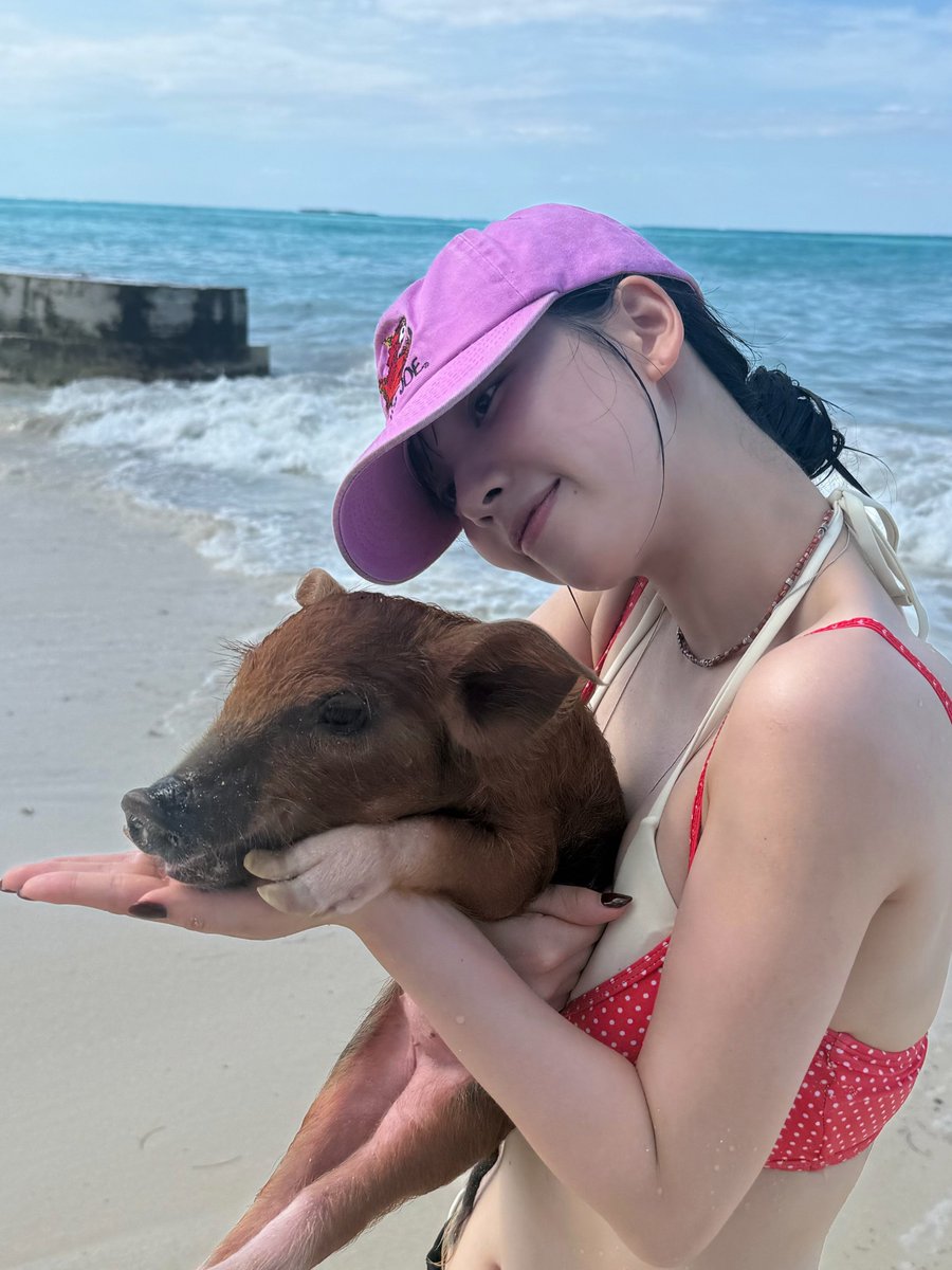 karinaofmoment's tweet photo. 🐷 https://t.co/XNZ0e9pYV1