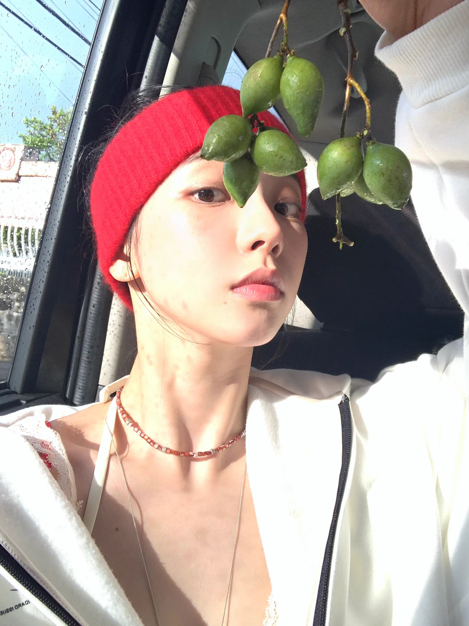 Sunshine on X / X