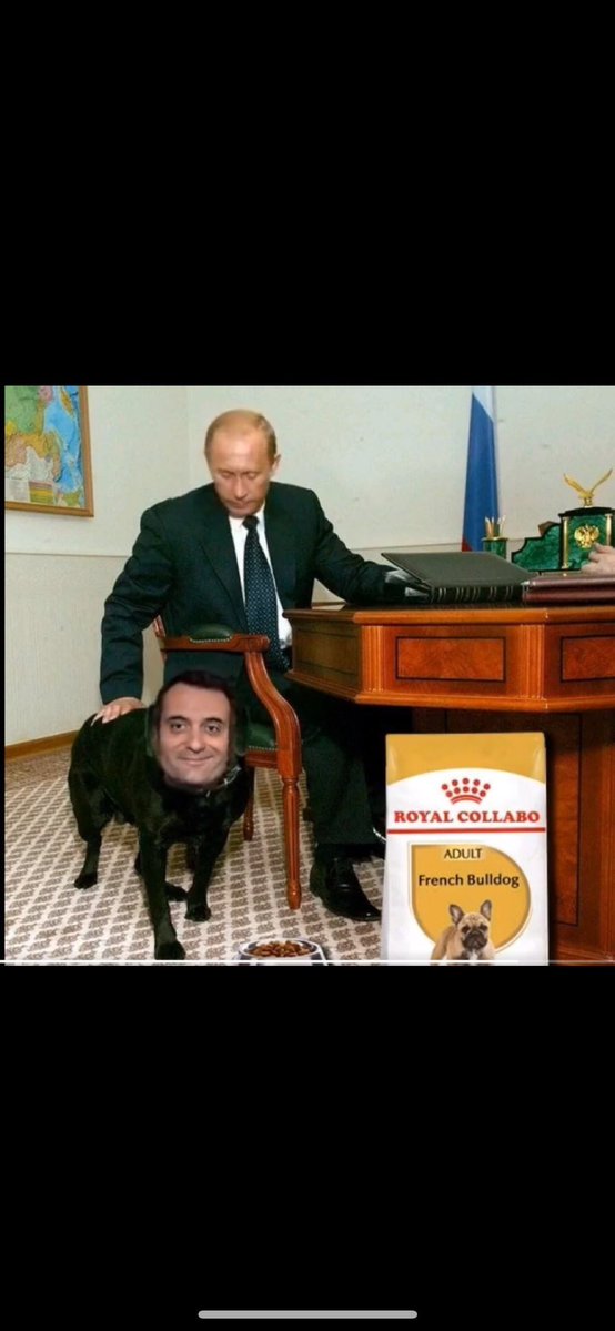 AL90630's tweet photo. @BlusseauE @f_philippot @_LesPatriotes @EPhilippe_LH Parce que précisément ils sont à l’opposé du pantin Philippot ou des extrêmes à la botte de la Russie. https://t.co/ajHyF6NjAl