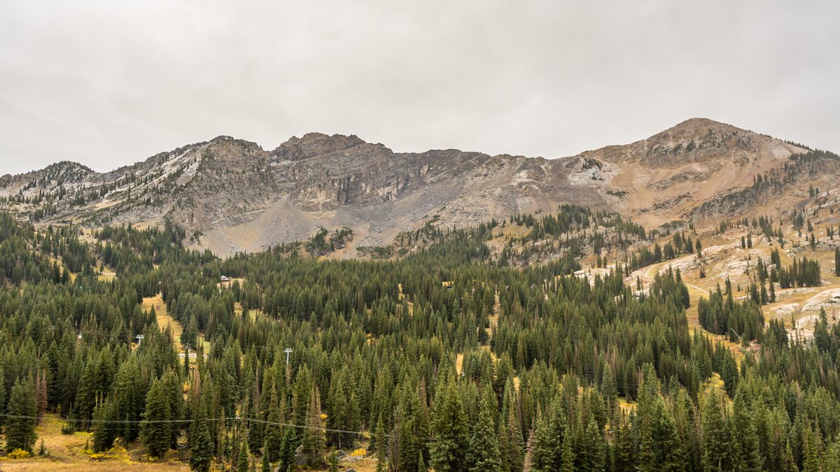 AltaSkiArea's tweet photo. Our first flakes of the season 🏔️

https://t.co/HI5bgg9kgo https://t.co/M3ANvLIYgH