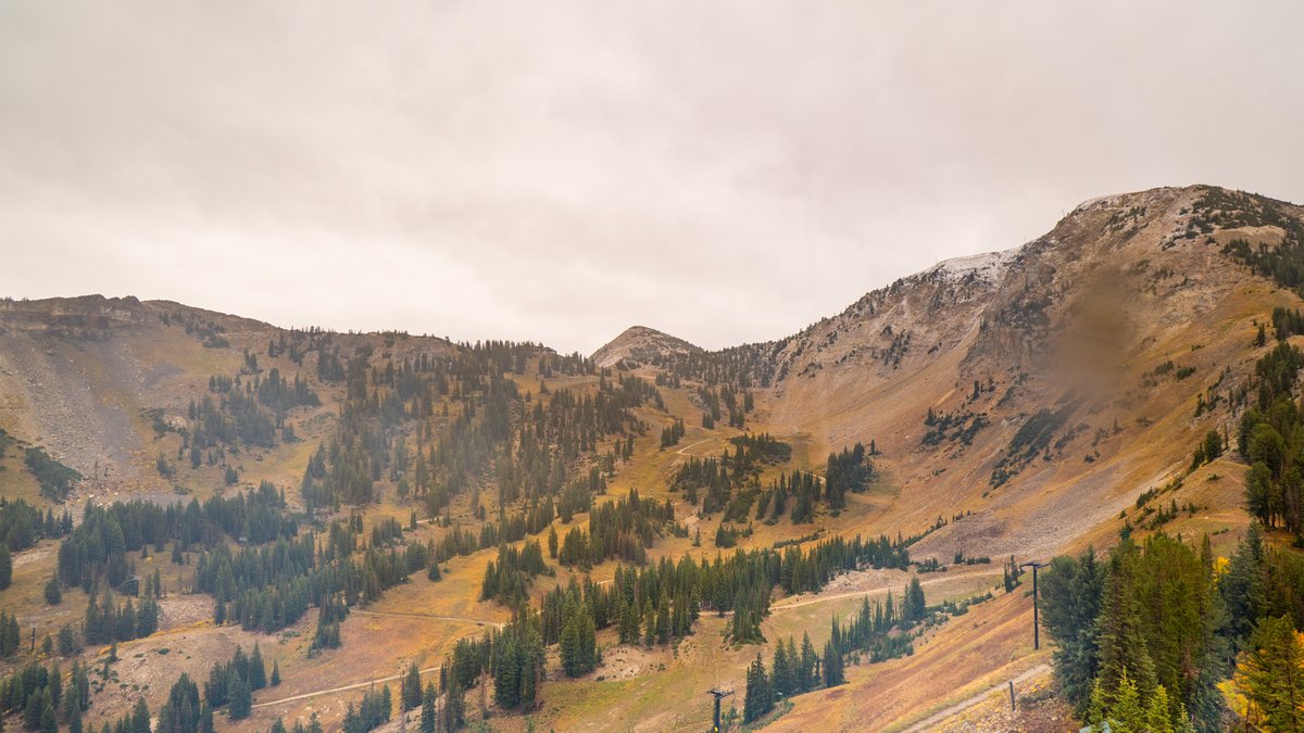 AltaSkiArea's tweet photo. Our first flakes of the season 🏔️

https://t.co/HI5bgg9kgo https://t.co/M3ANvLIYgH