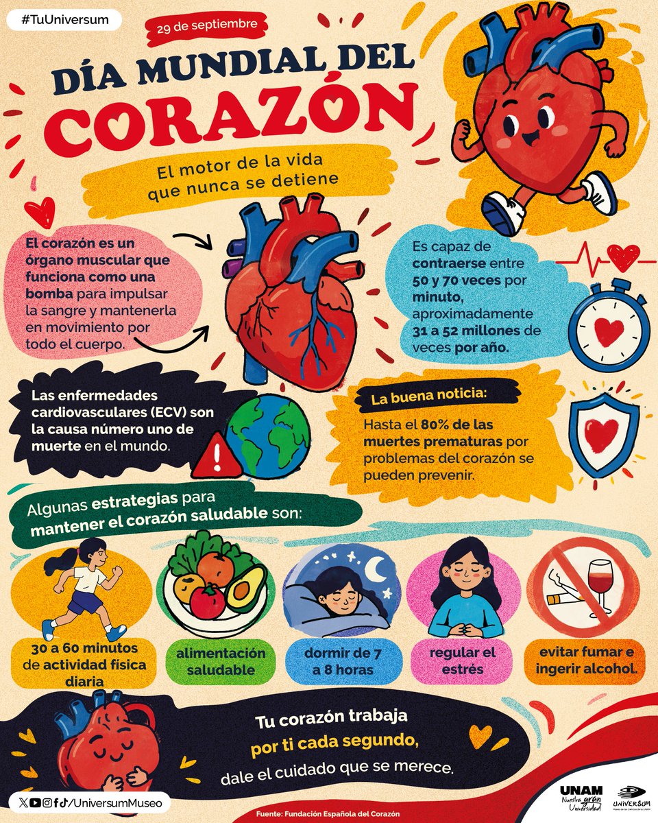 UniversumMuseo's tweet photo. Este día busca concientizar sobre las enfermedades cardiovasculares. 🫀
Muévete por tu corazón. 🏃🍎🛌🧘‍♀️

#TuUniversum https://t.co/6yrMKm9ktE