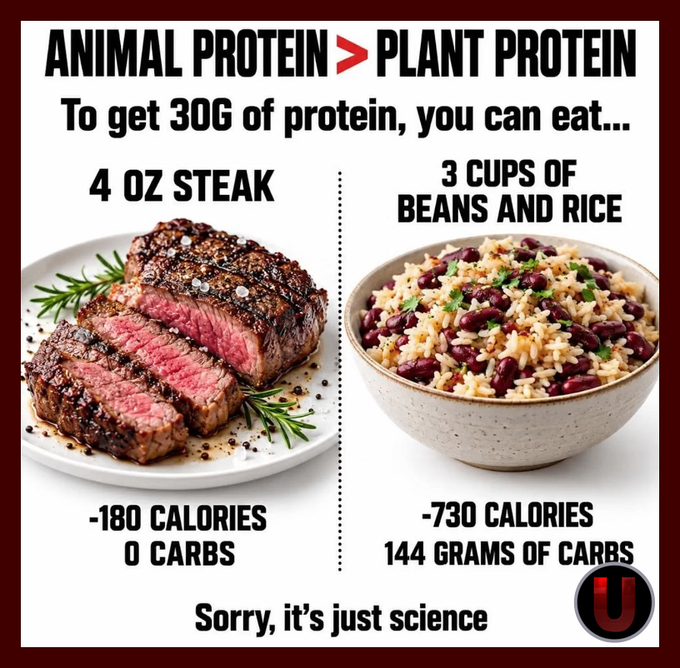 An infographic comparing 'ANIMAL PROTEIN > PLANT PROTEIN' showing 4 oz of steak (-180 calories, 0 carbs) versus 3 cups of beans and rice (-730 calories, 144 grams of carbs), with text 'Sorry, it's just science'.