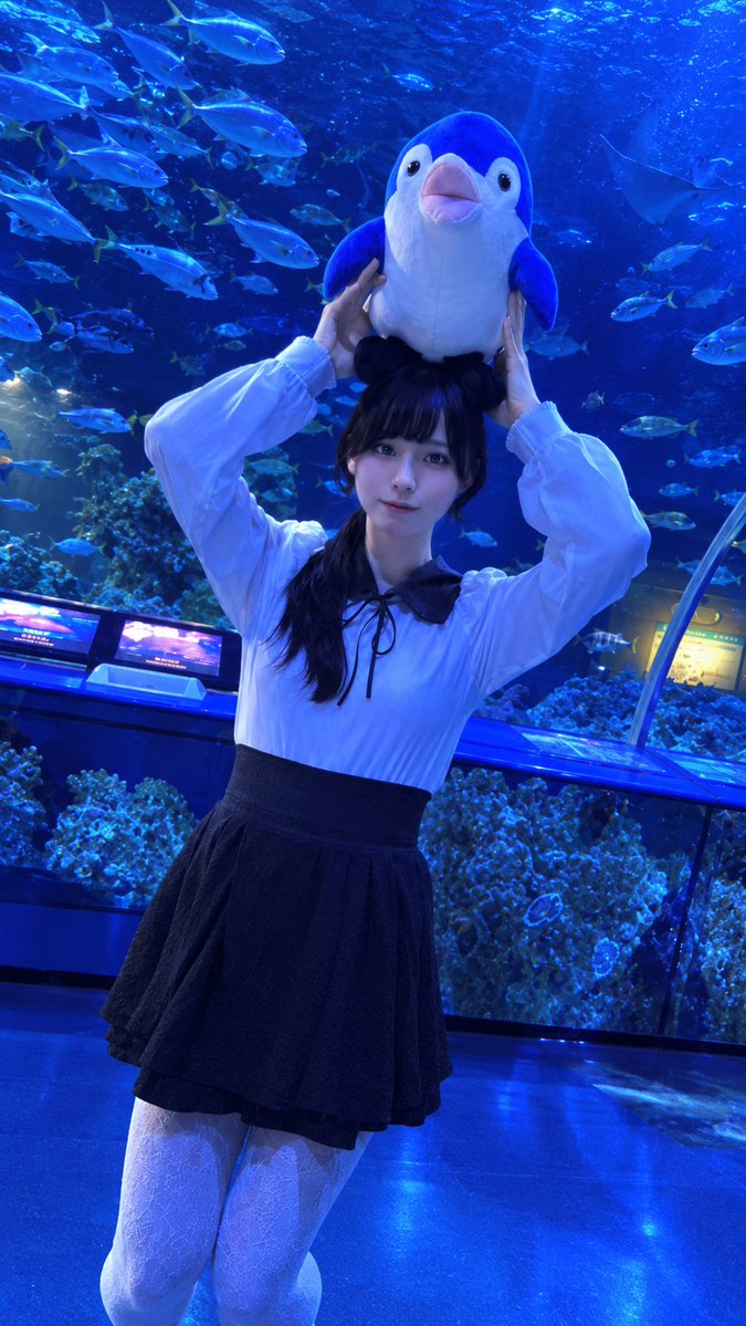 35saika's tweet photo. おはようございます🌞
今日も雨😭
この間好きな水族館でくじを引いたらまさかの2等が当たりました🎯
ちっさいこの子欲しいーって引いたはずが🤣
よく考えたらアザラシショーに出てきて抱っこしてるサイズと考えたらハピハピです✨
推しのさくらちゃん可愛い🫶
今日も一日頑張りましょう💪 https://t.co/B46qgahvGA
