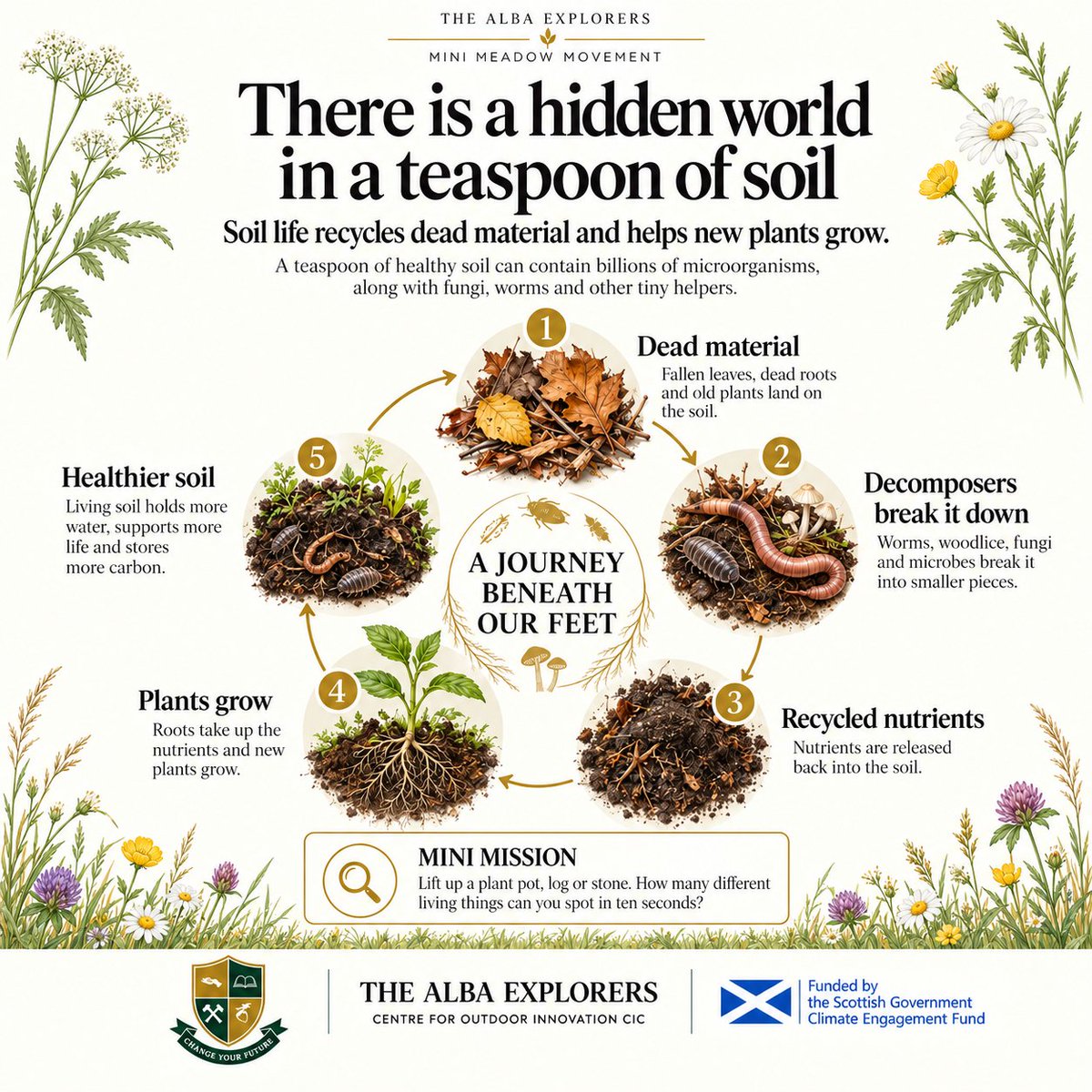 AlbaExplorers tweet picture