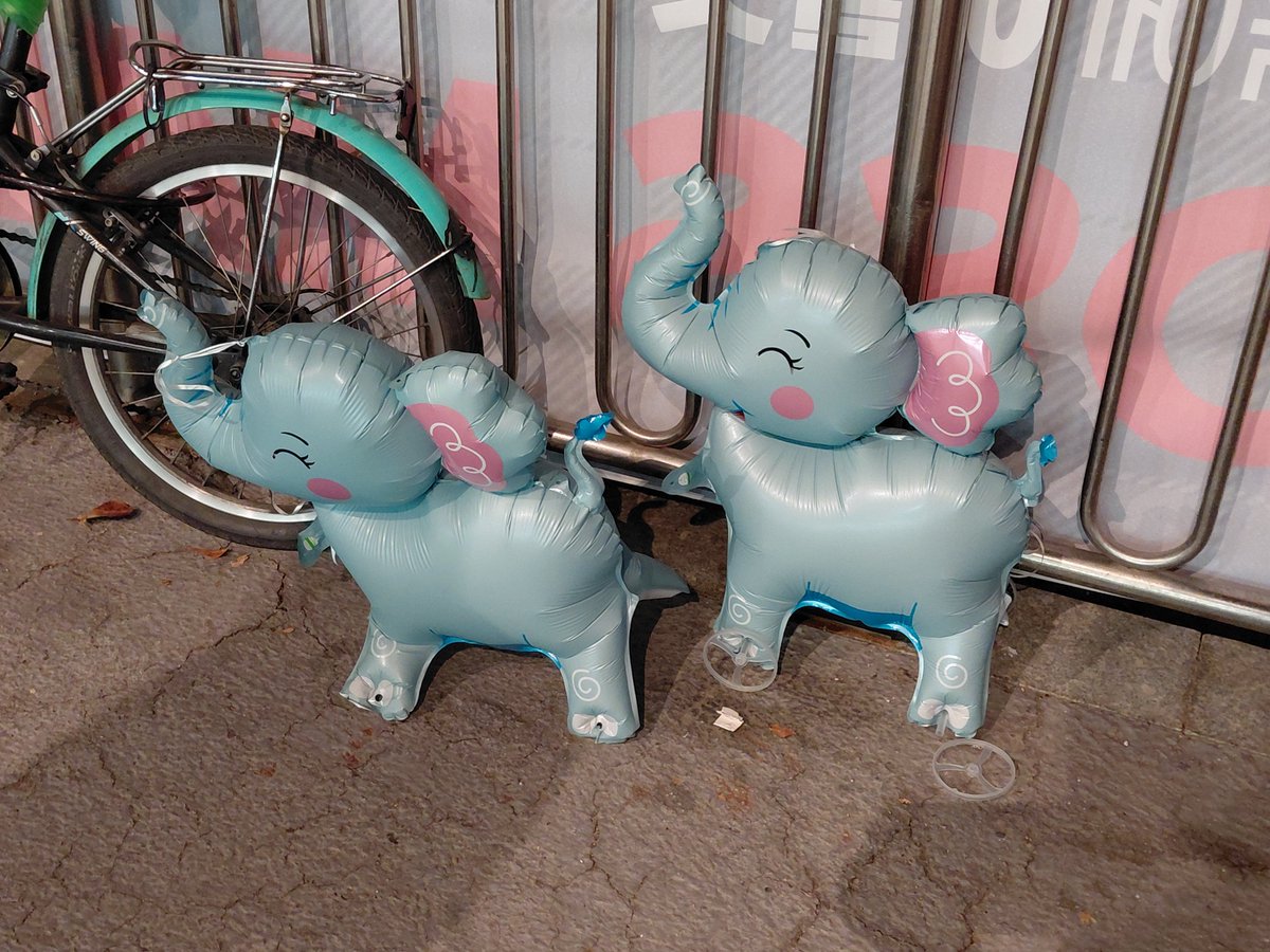 Yu_jio0's tweet photo. 🐘🐘 https://t.co/5dUHmKttvE