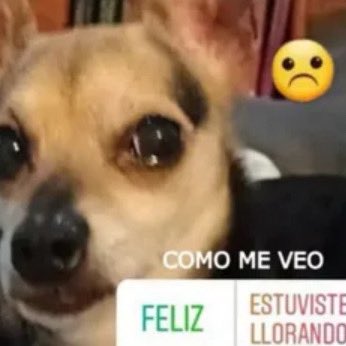 ipdriku's tweet photo. mañana tengo q ir con el curso q me cae mal https://t.co/oczZsN8MSu