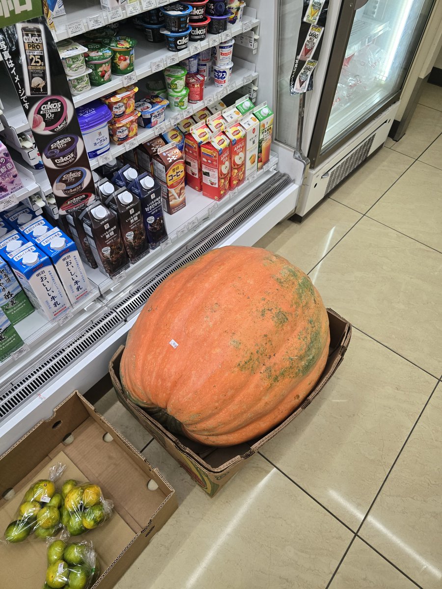 takekan_____'s tweet photo. セブンにデカかぼちゃ売ってる https://t.co/iWsqc89ckV