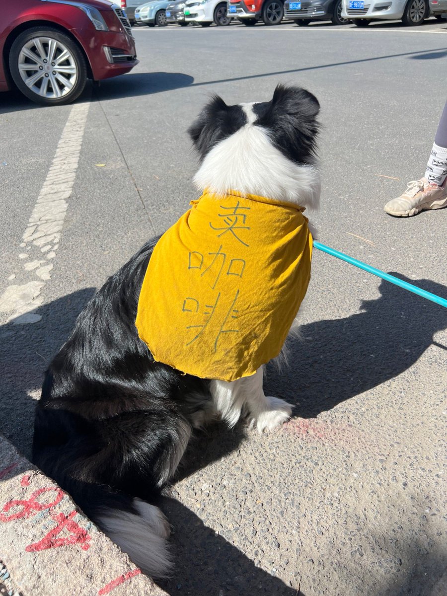 yan1ahn's tweet photo. Can you use 僦次吠褂 in an English sentence Let me see!， https://t.co/TcCvSAjUz4