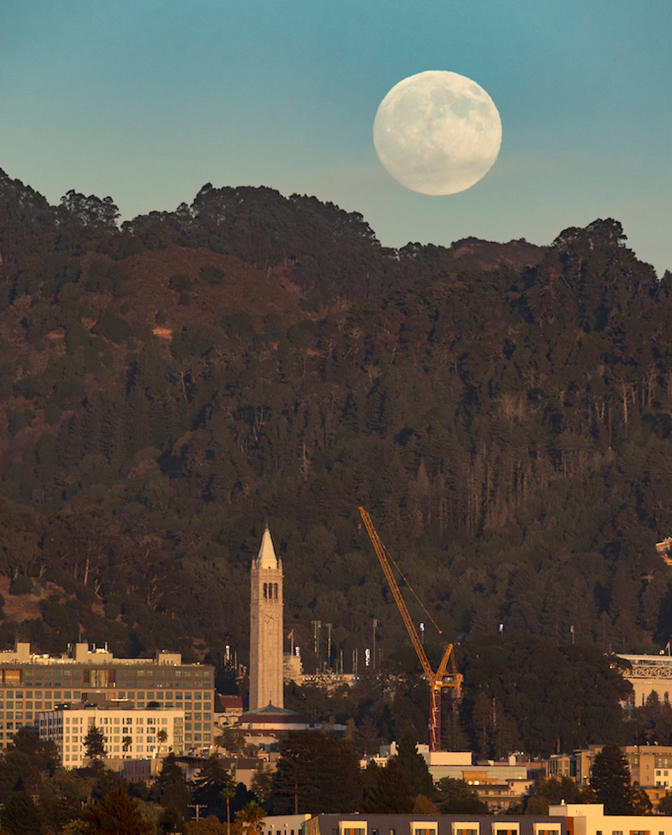 Cal_Engineer's tweet photo. Ready for the fall? 🍂🎃🌕

We caught a glimpse of a full September Harvest moon rising over the Campanile on Friday. 

(Photos by Adam Lau/UC Berkeley Engineering) https://t.co/qekUiVZfuI