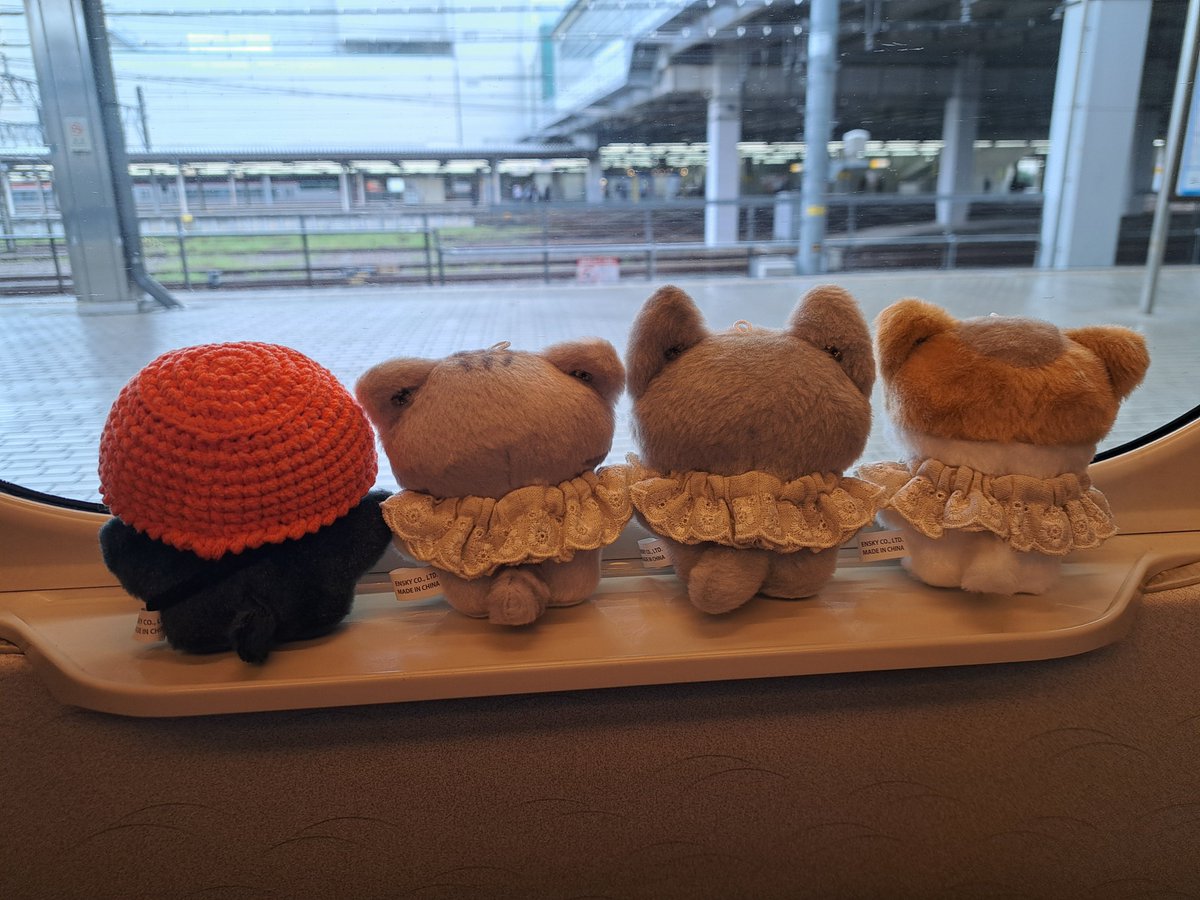 s3939ms1106j's tweet photo. 今日のお供は里帰りなシティーボーイ🐱たちだけの予定だったのに新幹線に乗れると知りついてきていたちみしょよくんも一緒にお江戸に向かいます☺️
#うちのちみけも
#ちみけものいる暮らし
#アトリエもにょ
#きなこんち https://t.co/j1bZTAiIJL