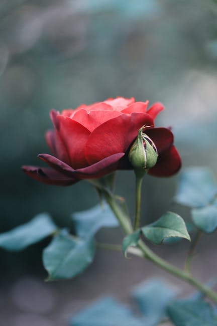 RyanRobins1vo's tweet photo. جديد هنا، وأرغب في التواصل، أرد كل العلاقات المتبادلة على متابعة. تأتي دائمًا في المقام الأول. shad blansett https://t.co/kFDBnJN22C
