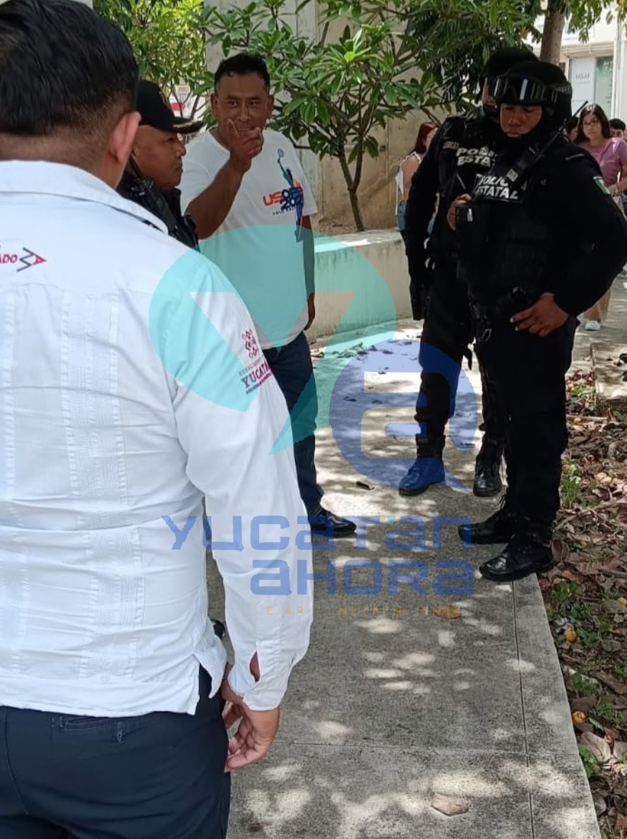 yucatanahora's tweet photo. DISCUSIÓN POR TARIFA DE 45 PESOS TERMINA EN AGRESIÓN A OPERADOR DEL IE-TRAM

#Policía | Una discusión por el cobro de 45 pesos en la ruta del IE-TRAM hacia el aeropuerto terminó en un altercado entre el operador y un visitante de la Ciudad de México.

El conflicto comenzó cuando integrantes de una familia abordaron la unidad y manifestaron su inconformidad por el precio del viaje. De acuerdo con el conductor, durante la discusión uno de los pasajeros lo g0lp3ó en dos ocasiones con la mano.

Tras solicitar apoyo, las partes involucradas fueron localizadas y dialogaron sobre lo ocurrido, acordando no continuar con el conflicto luego de que el pasajero cubriera el costo del viaje, sin que alguna de las partes manifestara intención de presentar denuncia ni se reportaran personas l3s10n4d4s.

Suscríbete a nuestro canal de Youtube 👇
https://t.co/mlzHfSDEKV

#YucatánAhora