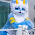 Photo by 루이 🔜 Furst Class (@Furry_Rui)