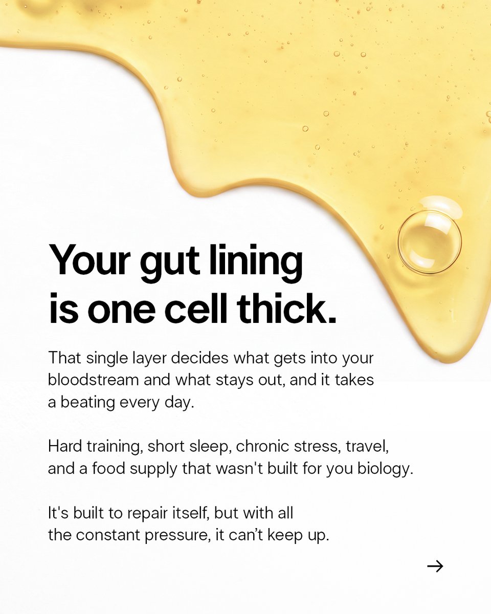 thegarybrecka's tweet photo. Why I take colostrum every single day, especially with how much I travel...

Travel, stress, changing routines, and lack of sleep can all C4666 a toll on your gut. And when your gut lining is only one cell thick, supporting that barrier is something I take seriously.

I’m a big fan of Cymbiotika’s Liquid Colostrum because it’s simple. It’s whole bovine colostrum from grass-fed cows here in the U.S., one packet, no scooping and no mixing.

Get 30% off applied at checkout: https://t.co/00SeMndg60