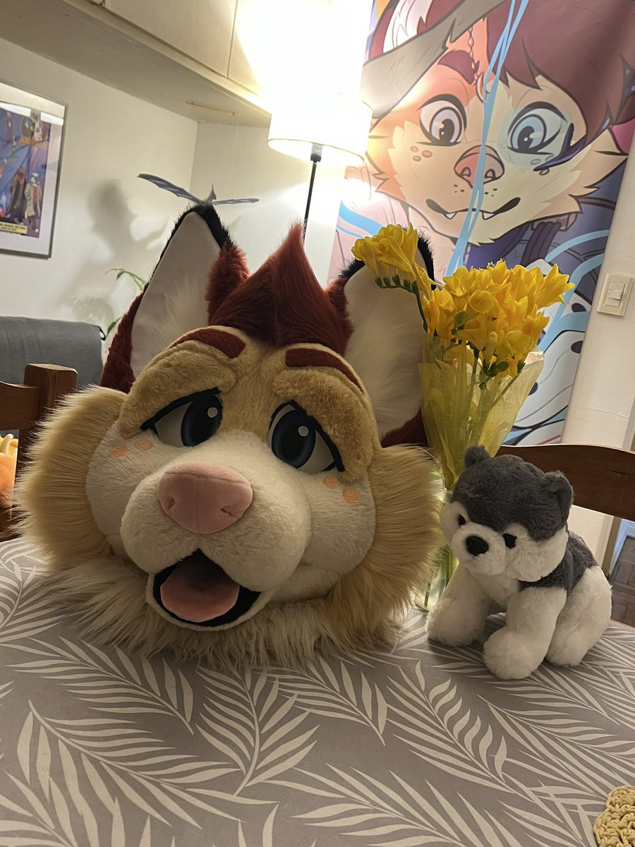 ZylyTheFox's tweet photo. I dropped my boyfriend at the airport today so that he could go back home. I can’t describe how sad I am, and how much I will miss him. I hope I can see you again this summer.

I love you much @AlexiW0lf thanks for showing me I could love again 🧡 https://t.co/EK6iFCfb5o
