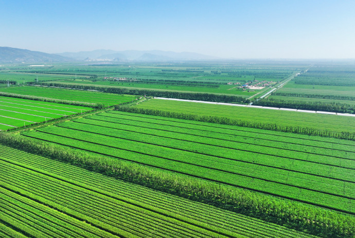hch1067's tweet photo. Today I took a trip to the farm, and the newly planted crops are growing really well!， https://t.co/W0qHUfCwbS