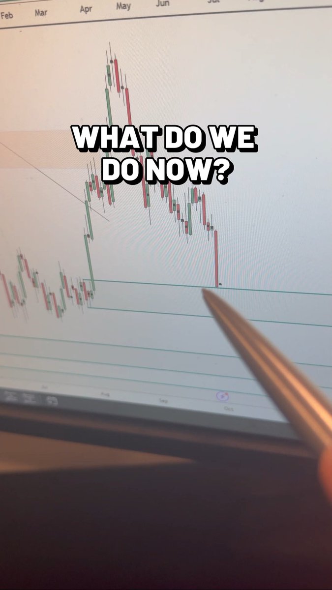 A photo of a computer screen displaying a candlestick stock chart with the meme text 'WHAT DO WE DO NOW?' overlaid, with a pen pointing at a sharp price drop near a horizontal support line.