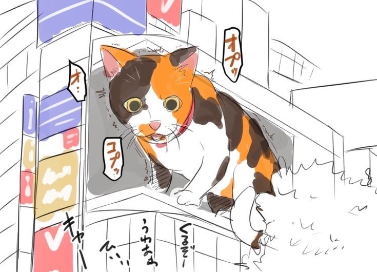 hayakore's tweet photo. ゲロテロ https://t.co/ppXMh7gvpQ