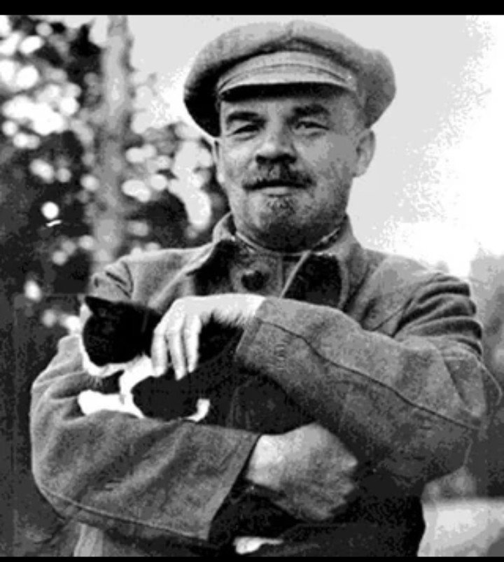 patriach2051's tweet photo. Did you know Lenin was a cat lover? https://t.co/Cb3XxjJAEm