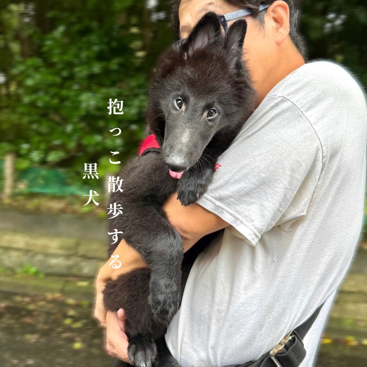 Fernetotrock's tweet photo. 大盛りを伝えたいから私の手と一緒に撮って😆 と言うので奥さんの手と共に ★大盛りピラフ ★サガリステーキ ★ほうれん草と生ハムのサラダ ★レッドシャインマスカット 美味い‼️全部食べる‼️ と息巻いていた奥さんだったが3分の1を残してギブアップ  #おうちごはん #ステーキ  #ピラフ https://t.co/yBQ1SIAXrK