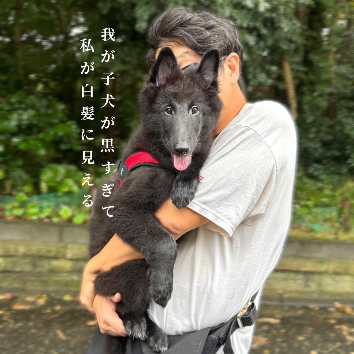 Fernetotrock's tweet photo. 大盛りを伝えたいから私の手と一緒に撮って😆 と言うので奥さんの手と共に ★大盛りピラフ ★サガリステーキ ★ほうれん草と生ハムのサラダ ★レッドシャインマスカット 美味い‼️全部食べる‼️ と息巻いていた奥さんだったが3分の1を残してギブアップ  #おうちごはん #ステーキ  #ピラフ https://t.co/yBQ1SIAXrK