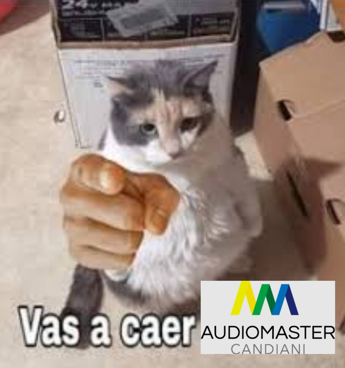 elkirapapas's tweet photo. @ToeiAnimationLA Oye we ¿Por qué mandas doblajes a un estudio donde la mayoría de los directores son ingenieros de audio y dónde tienen actores cuestionables en su plantel? https://t.co/UIn6Nzd7kn
