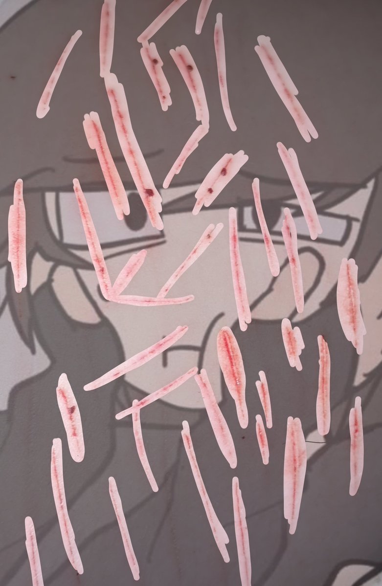 Altaccountbasil's tweet photo. Nooo!!! Ai Tobias why is your kitty homophobic!!! Why does it only scratch in straight lineeeess!!! Nooo!!! !!! #slittwt #shtwt #shedtwt #shedrtwt https://t.co/sGJ2tf1Pkd