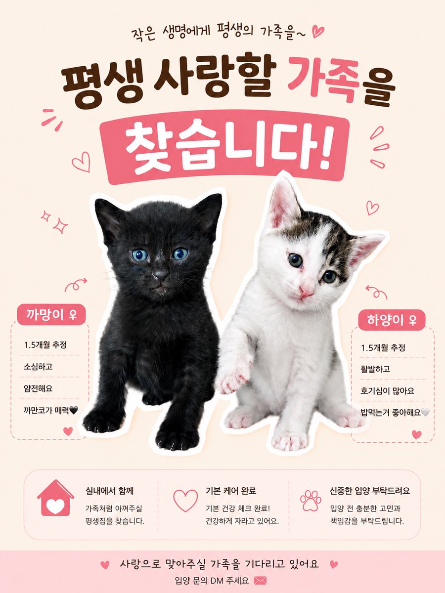 WillettaAc7d's tweet photo. Looking for a forever home for two baby sisters. Blackie is shy, gentle, and loves quietly staying by your side. Whitey is playful, curious, adventurous, and food-loving. Both are about 5 months old, healthy, and well cared for. Responsible https://t.co/Zns1GEWILL