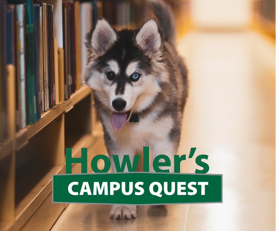 usasklibrary's tweet photo. Last chance to join Howler’s Campus Quest! 🕵️‍♀️🐾 
Scan those QR codes before Sept. 30 and you could win prizes! 
#USaskLibrary #StudentContest #HowlersQuest https://t.co/spKs7S6iqJ