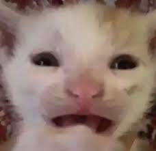 twiggybobs's tweet photo. im the type of jackass that, whenever i have a headache, will just watch something thats just soooo fucking bright in the dark https://t.co/bTySydoLun