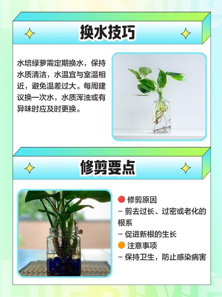ReinaBonkowski's tweet photo. Pro tip: Water your pothos only when the top 2 inches of soil feel dry—overwatering kills more houseplants than underwatering! Follow for more easy green plant hacks.， https://t.co/WamrPi4ieR