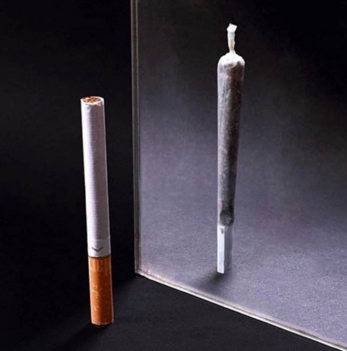 stillblazingtho's tweet photo. visualizing the person I want to be https://t.co/F79rAJ0Gvn