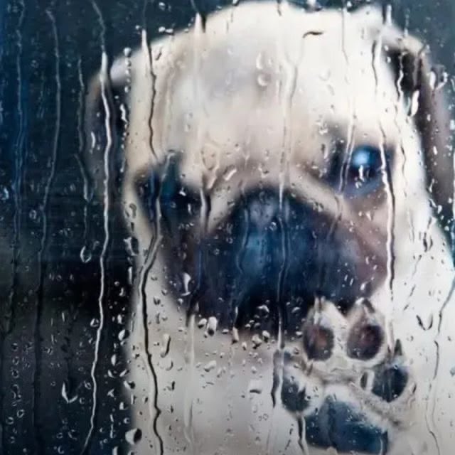 Damiselett's tweet photo. @answermfucker AMOR QUE PORFI PASA RUTINA 💔💔 https://t.co/cWIB2gBCiw