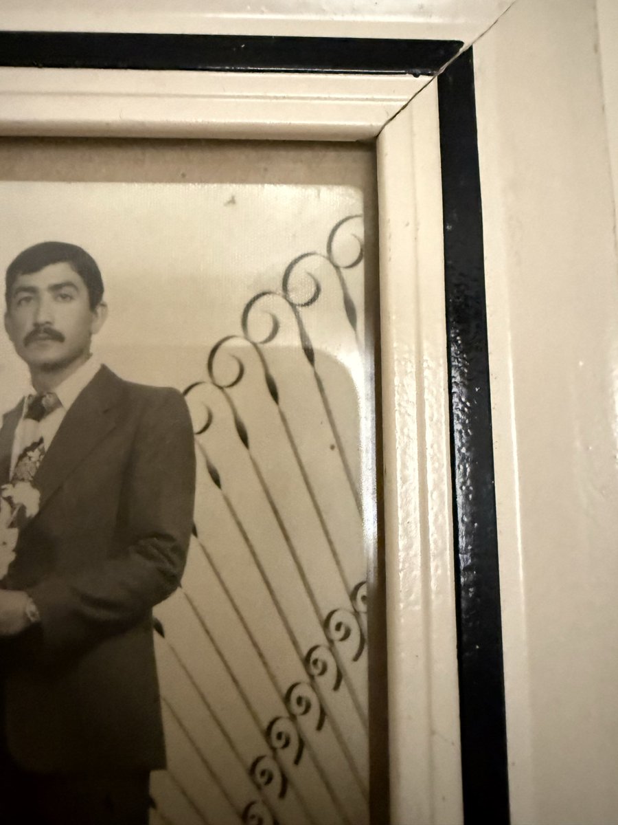 xVxYapm's tweet photo. Oğuz Eri ve İslam Eri Efko Cango ve DNA’sını taşımaktan onur duyduğu Oğuz eri genotipli ve fenotipli dedesi. Rahmetullahi aleyhim. https://t.co/tOFOVcZ18f